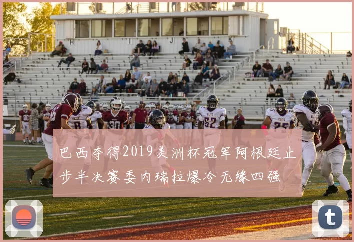 巴西夺得2019美洲杯冠军阿根廷止步半决赛委内瑞拉爆冷无缘四强