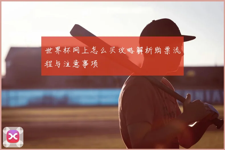 世界杯网上怎么买攻略解析购票流程与注意事项