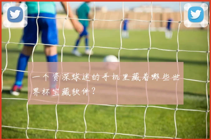 一个资深球迷的手机里藏着哪些世界杯宝藏软件？