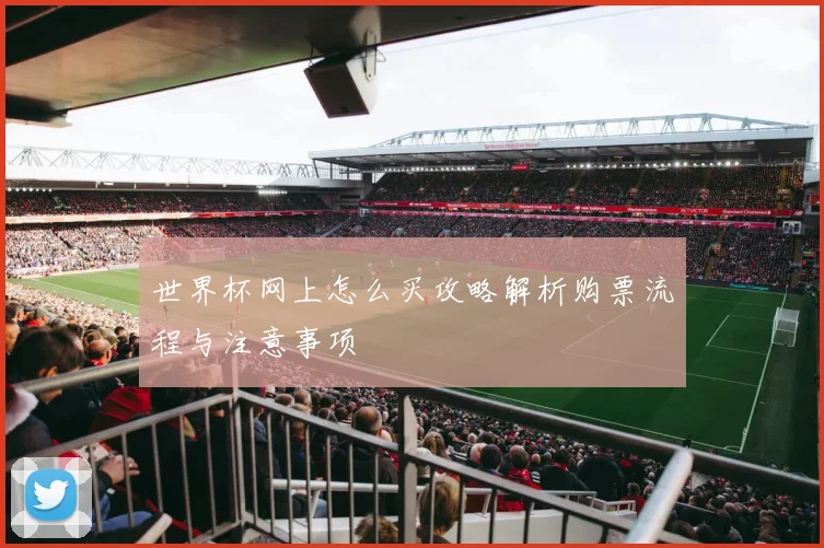 世界杯网上怎么买攻略解析购票流程与注意事项
