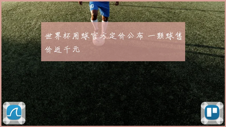 世界杯用球官方定价公布 一颗球售价近千元