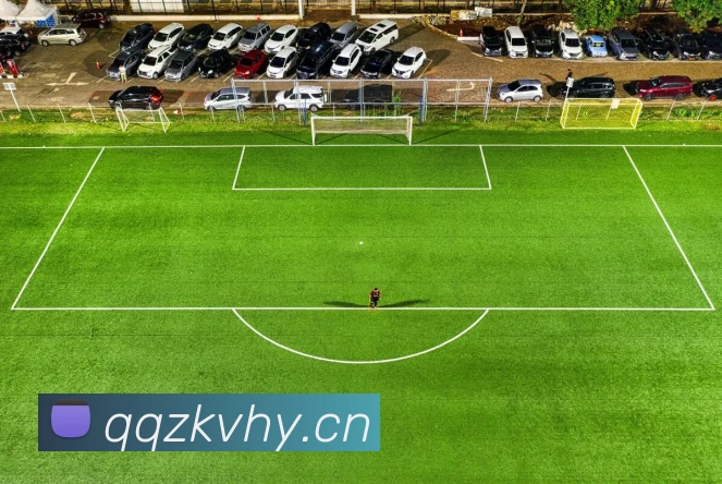 数据防护可视化